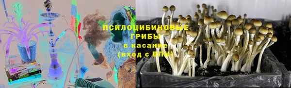 гидра Нягань