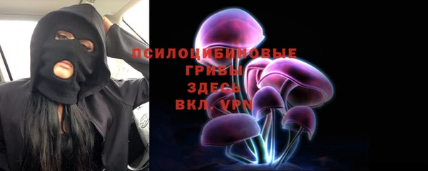 МДПВ Абаза