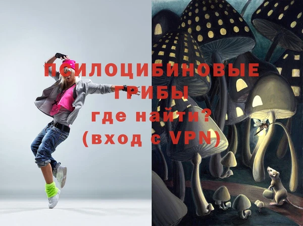 спиды Няндома
