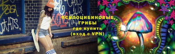 дмт Новокубанск